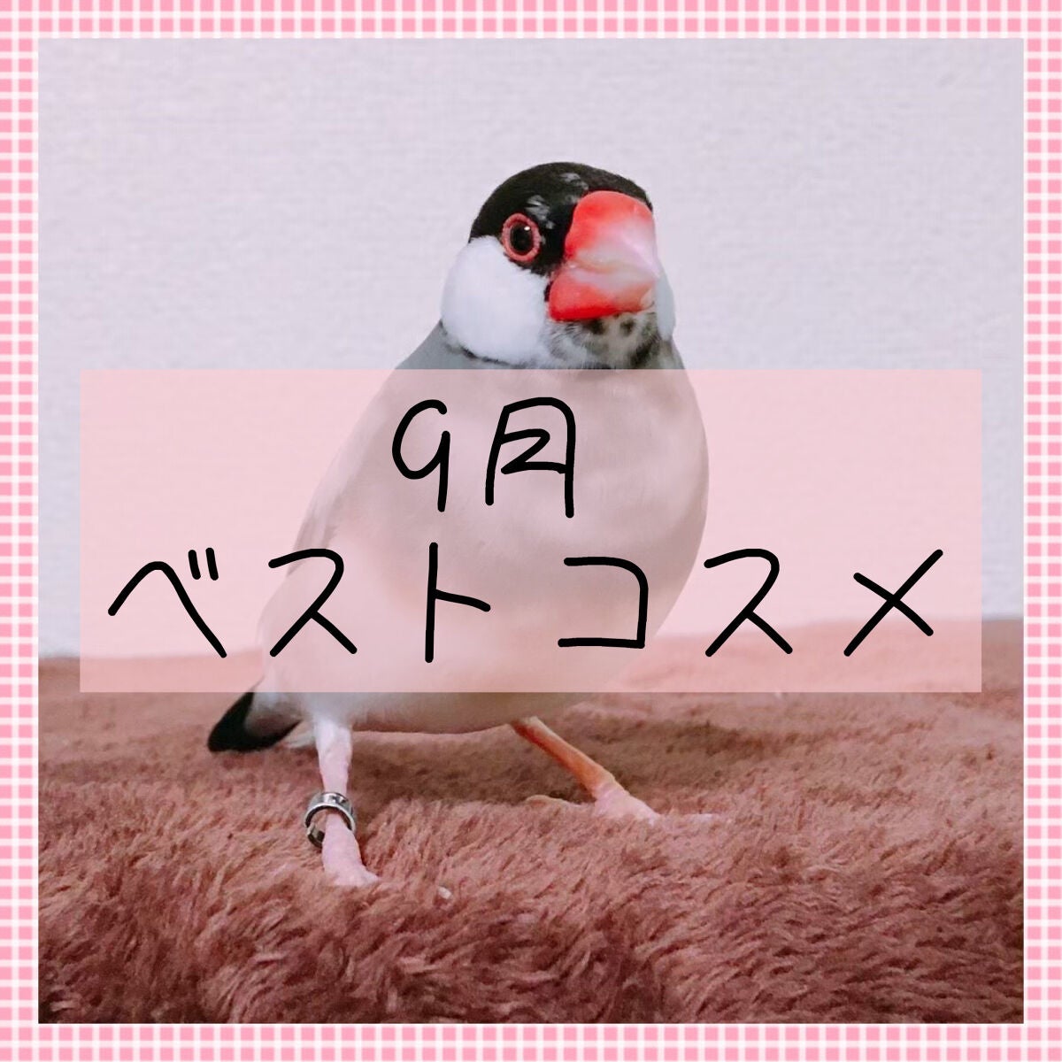 スムースマットリップティント/GAB ME/リップティントを使ったクチコミ(1枚目)