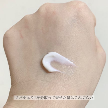 クリーム イン デイ/KANEBO/フェイスクリームを使ったクチコミ(4枚目)