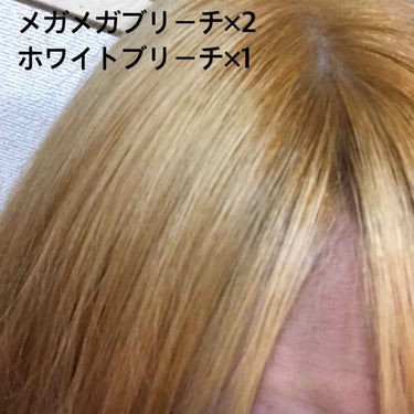 オイルイントリートメント(ボリューム＆リペア)(旧)/ディアボーテ/洗い流すヘアトリートメントを使ったクチコミ（2枚目）