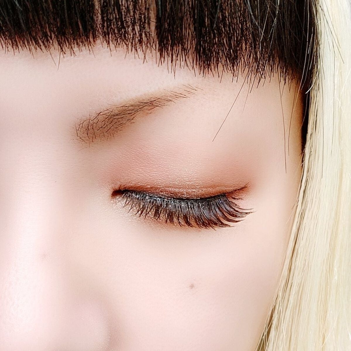 シルキースフレアイズ(マットタイプ)/キャンメイク/アイシャドウパレットを使ったクチコミ(4枚目)