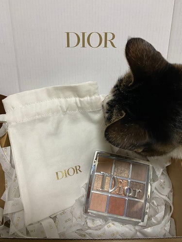 ディオール バックステージ アイ パレット/Dior/アイシャドウパレットを使ったクチコミ（1枚目）