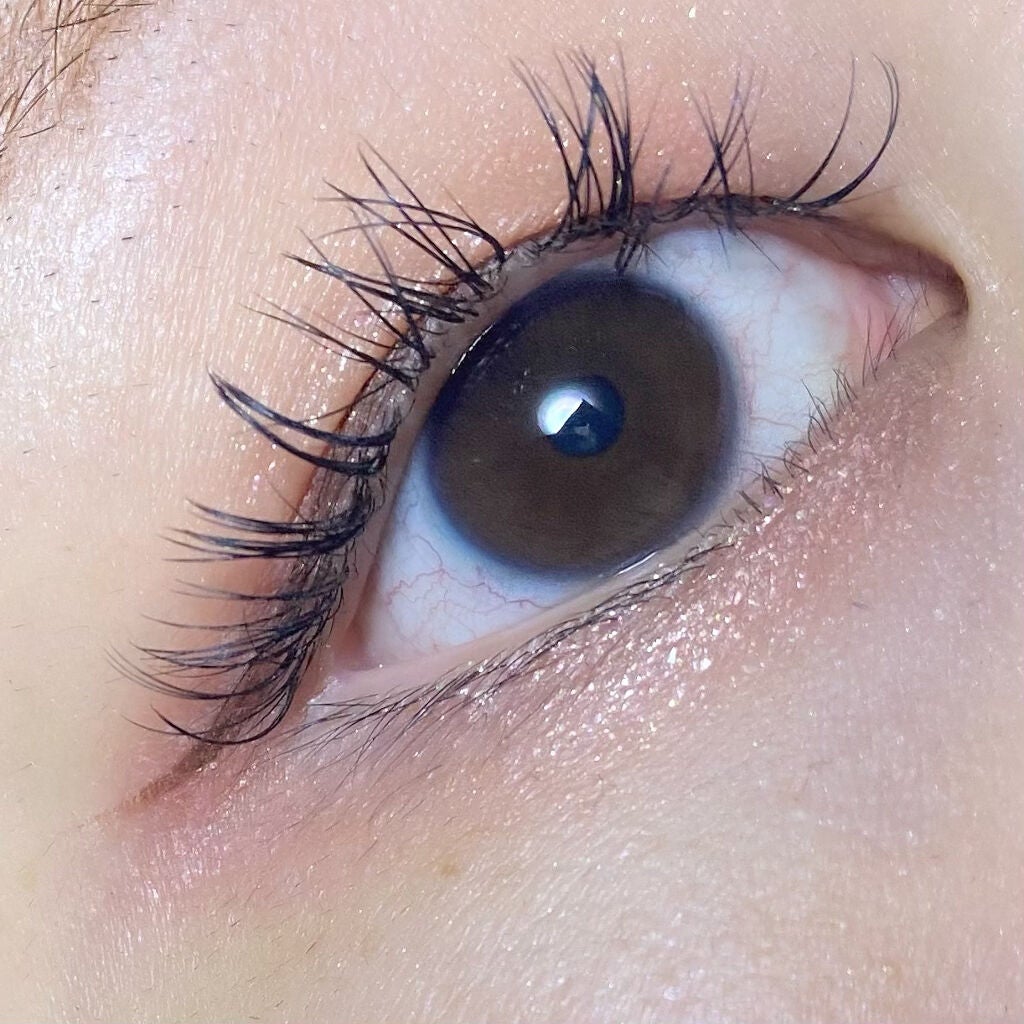 シルキースフレアイズ(マットタイプ)/キャンメイク/アイシャドウパレットを使ったクチコミ(4枚目)