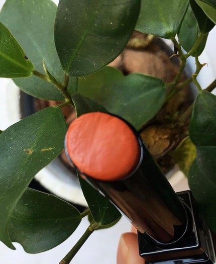 ケイト リップモンスター/KATE/口紅を使ったクチコミ(2枚目)