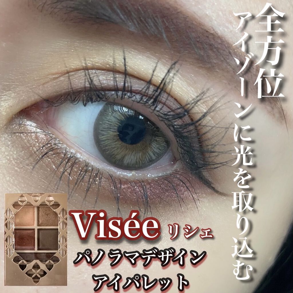 パノラマデザイン アイパレット/Visée/アイシャドウパレットを使ったクチコミ（1枚目）