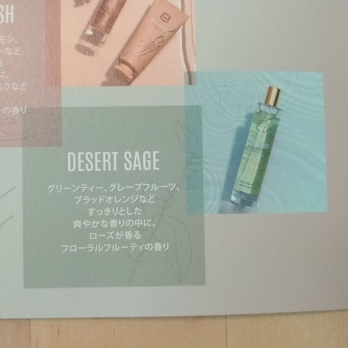 DESERT WONDER DESERT SAGE ボディクリーム/Laline/ボディクリームを使ったクチコミ(6枚目)