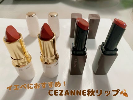 ラスティング リップカラーN/CEZANNE/口紅を使ったクチコミ(1枚目)