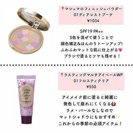 ラスティングマルチアイベース WP/キャンメイク/アイシャドウベースを使ったクチコミ(3枚目)