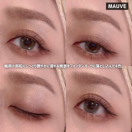 アイスカルプト/shu uemura/アイシャドウパレットを使ったクチコミ(6枚目)