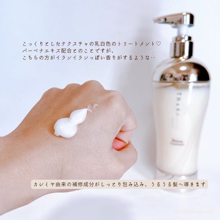 ドリーミー モイスト シャンプー/ヘアトリートメント/THERATIS/市販シャンプーを使ったクチコミ(6枚目)