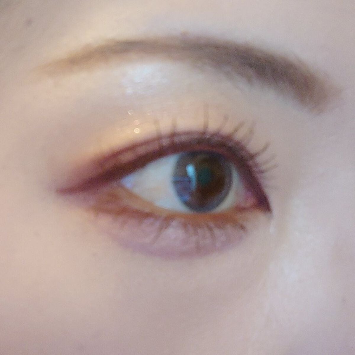 トーンアップアイシャドウ/CEZANNE/アイシャドウパレットを使ったクチコミ(7枚目)