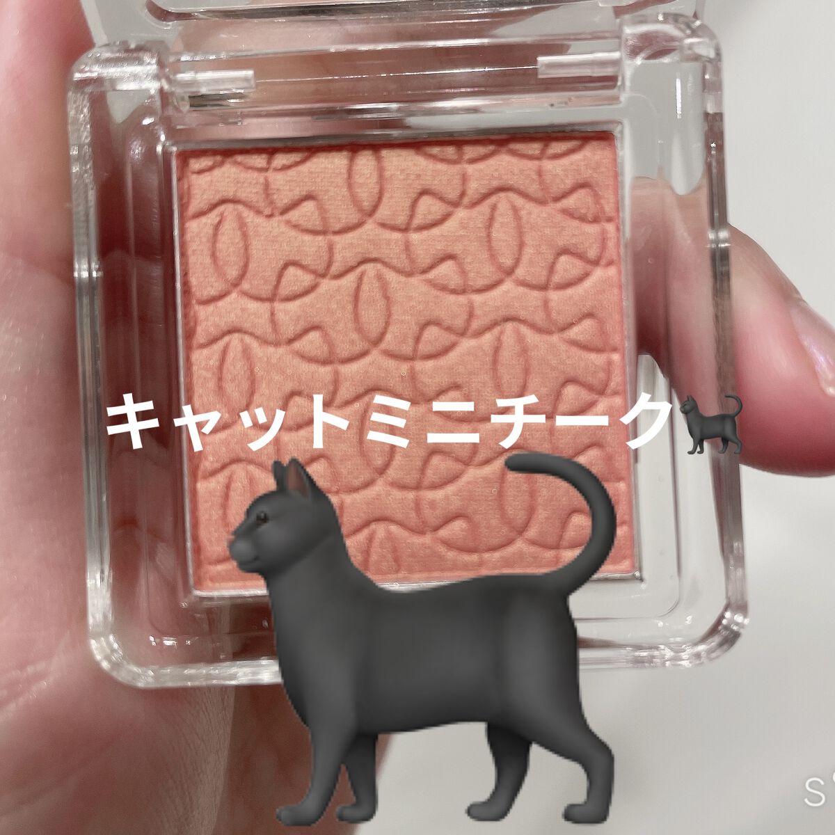 キャットミニチーク S02 ミャオシャインオレンジ/ukiss/パウダーチークを使ったクチコミ（1枚目）