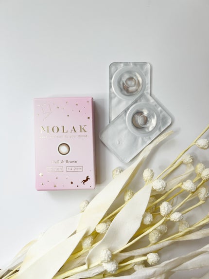 MOLAK 1month ドーリッシュブラウン/MOLAK/1ヶ月(1MONTH)カラコンを使ったクチコミ(3枚目)