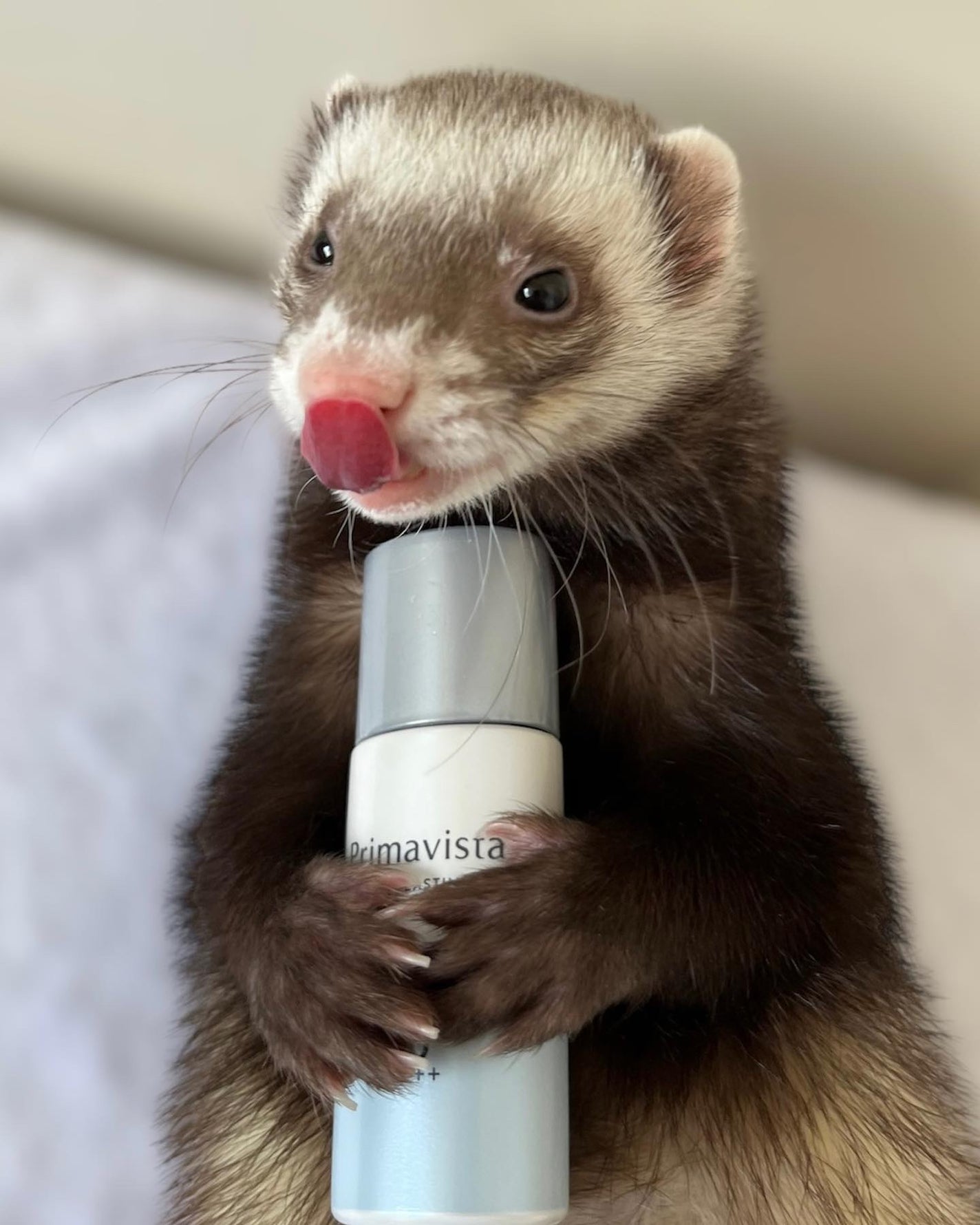 スキンプロテクトベース<皮脂くずれ防止>SPF50/プリマヴィスタ/化粧下地を使ったクチコミ(4枚目)