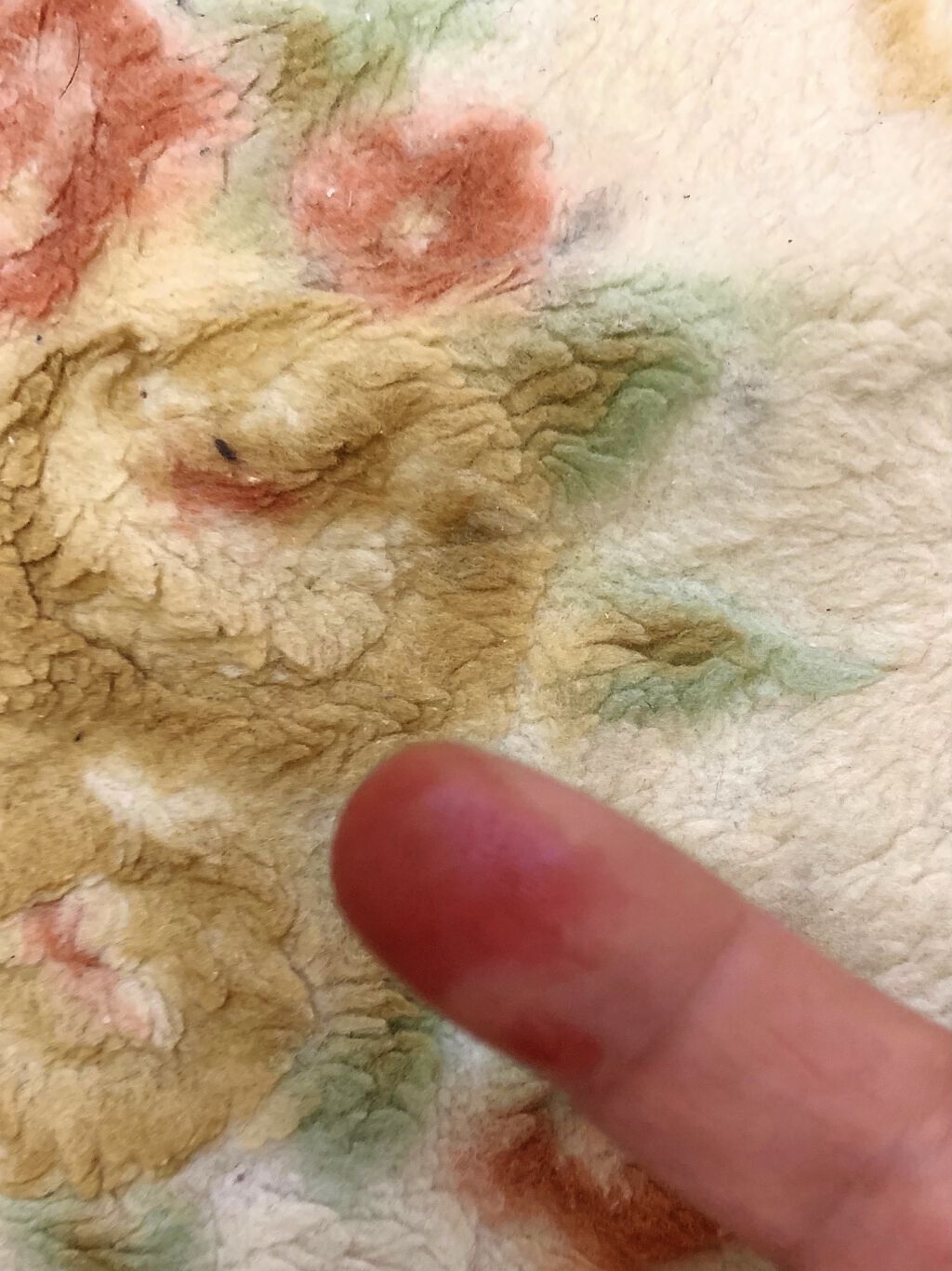 ドラマティックリップティント/マキアージュ/リップティントを使ったクチコミ（3枚目）