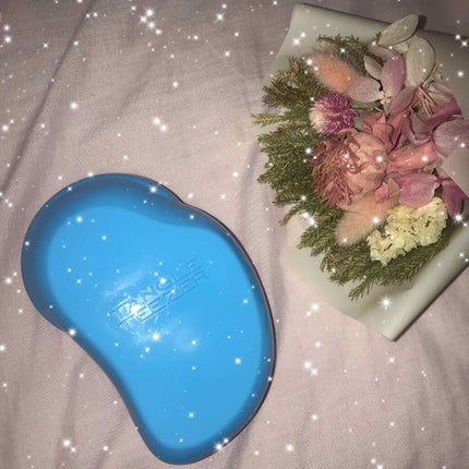 ザ・オリジナル ノーマル/TANGLE TEEZER/ヘアブラシを使ったクチコミ(1枚目)