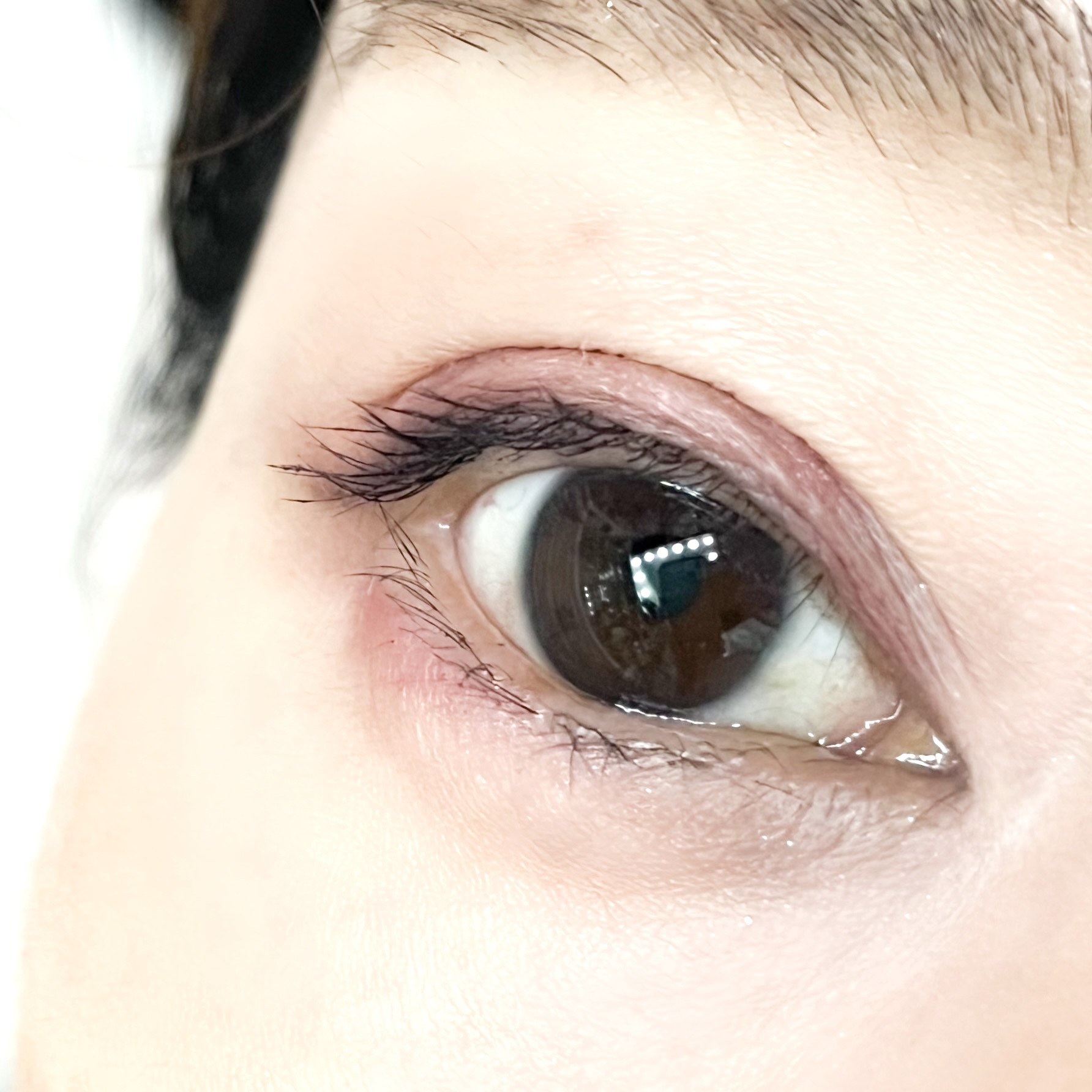 ルドゥーブル プレミアム/ルドゥーブル/二重まぶた用アイテムを使ったクチコミ（2枚目）