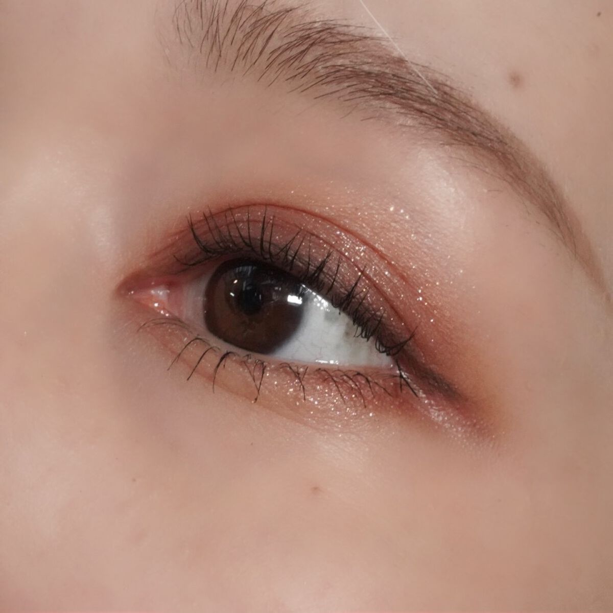 エクスプローラ12色 動物アイシャドウパレット/PERFECT DIARY/アイシャドウパレットを使ったクチコミ（3枚目）