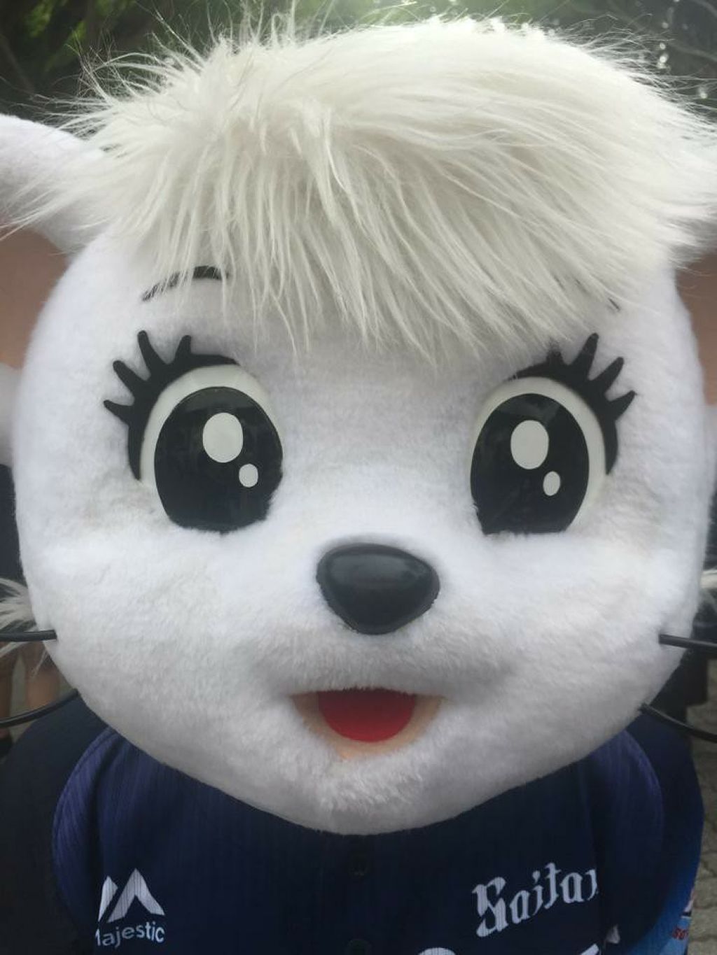 マジョロマンティカ/MAJOLICA MAJORCA/香水(レディース)を使ったクチコミ（1枚目）