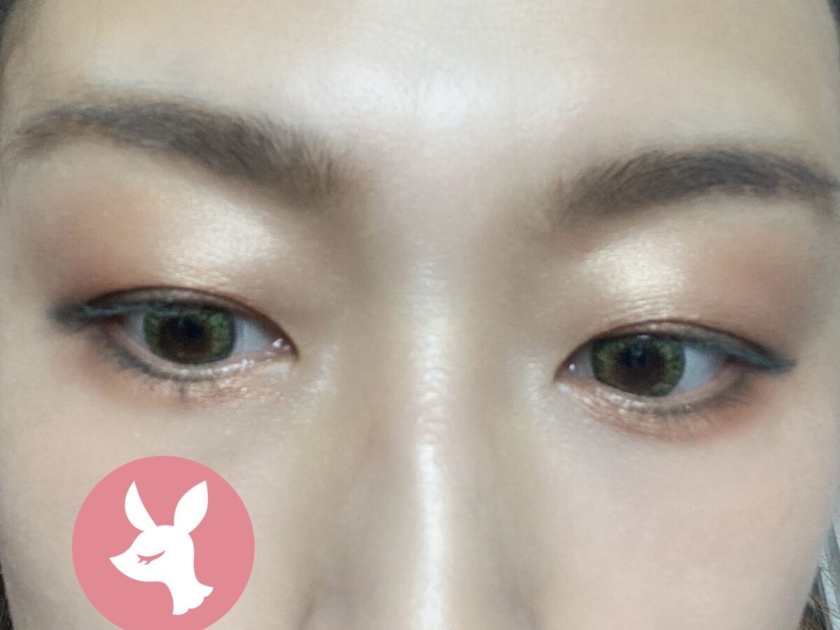 ザ アイシャドウ L 170 Smoky Emerald/ADDICTION/単色アイシャドウを使ったクチコミ（3枚目）