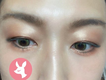 ザ アイシャドウ L 170 Smoky Emerald/ADDICTION/単色アイシャドウの画像