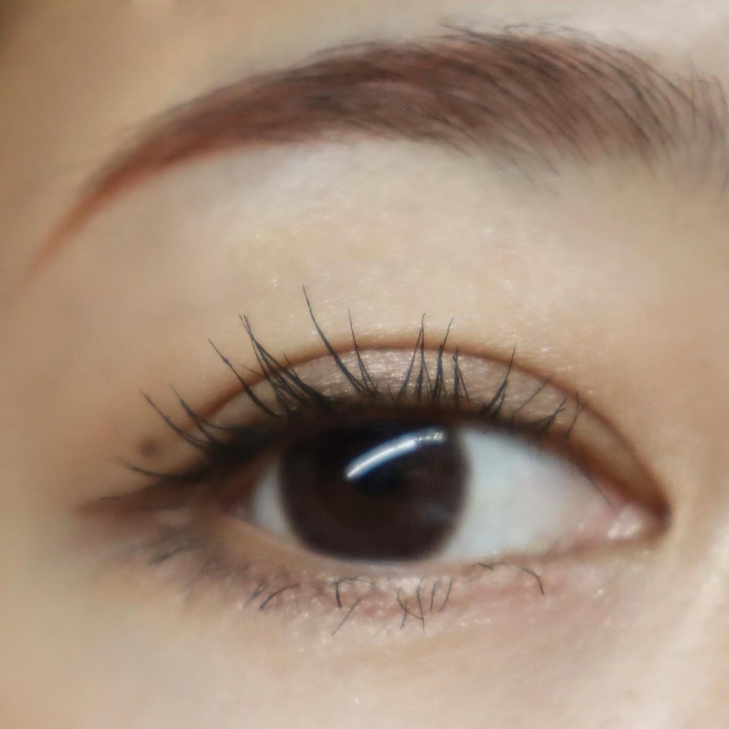 ニュアンス デューイ クリエイター/Visée/アイシャドウパレットを使ったクチコミ(6枚目)