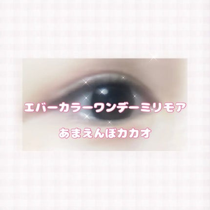 エバーカラーワンデーミリモア/エバーカラー/ワンデー(1DAY)カラコンを使ったクチコミ(1枚目)