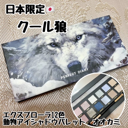 エクスプローラ12色 動物アイシャドウパレット/PERFECT DIARY/アイシャドウパレットを使ったクチコミ(1枚目)