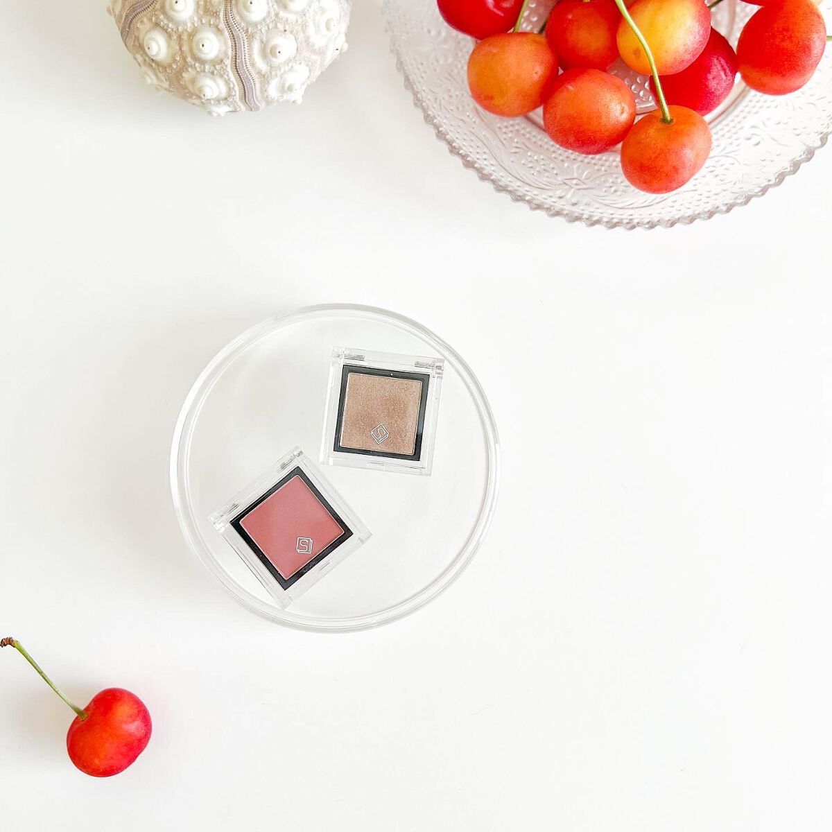 eyeshadow/SLN/単色アイシャドウを使ったクチコミ(4枚目)