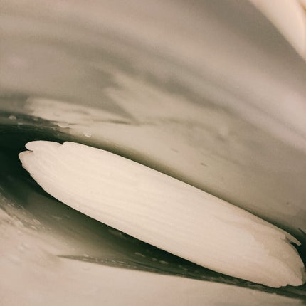 デイリーケアマスク ヒアルロン酸&グレープフルーツ/RISM/シートマスク・パックを使ったクチコミ(3枚目)