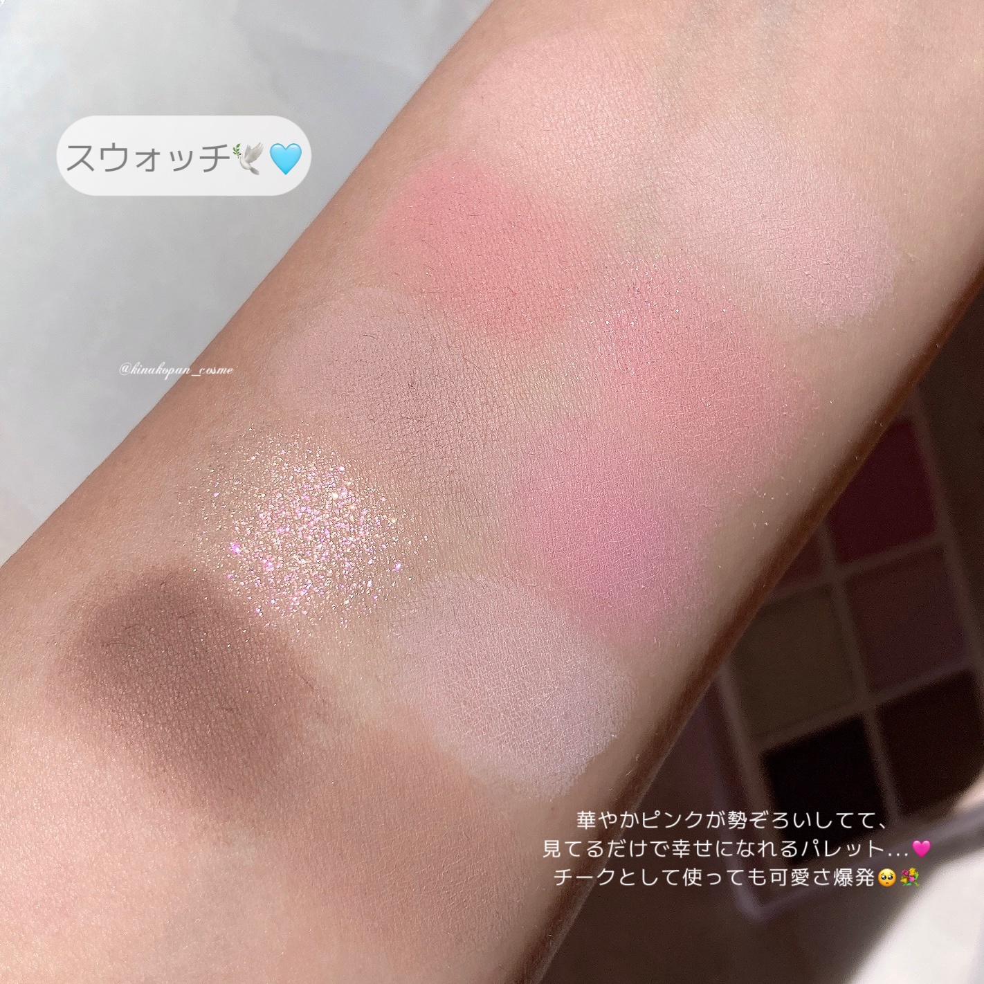 マルチユースシャドウパレット/RULIDIA/アイシャドウパレットを使ったクチコミ（3枚目）