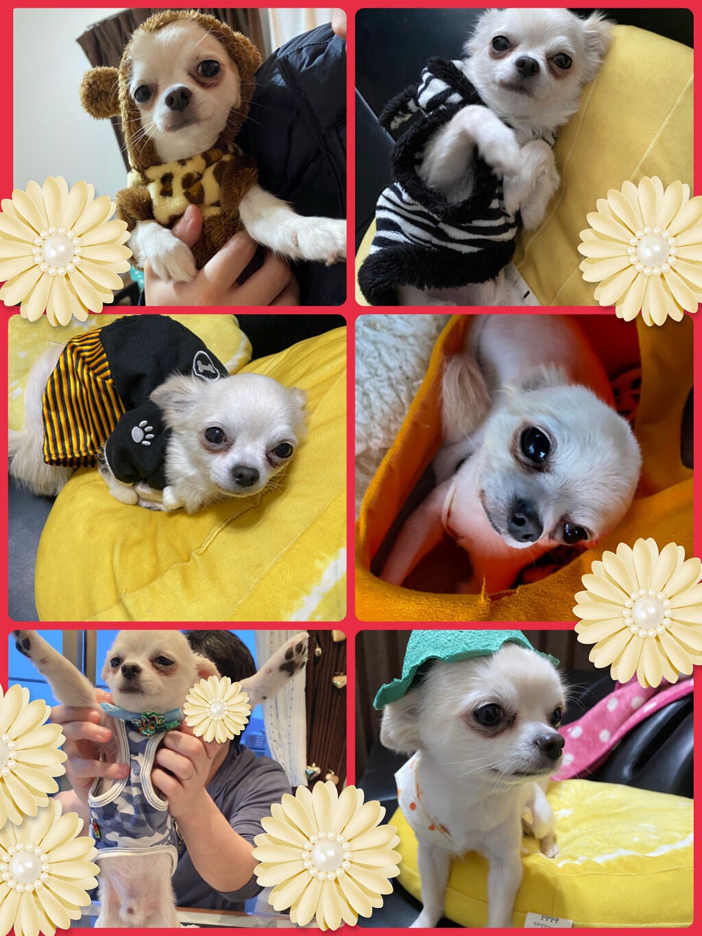 カラフルネイルズ/キャンメイク/マニキュアを使ったクチコミ(9枚目)