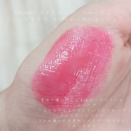 ステイオンバームルージュ(ティントタイプ)/キャンメイク/リップティントを使ったクチコミ(2枚目)