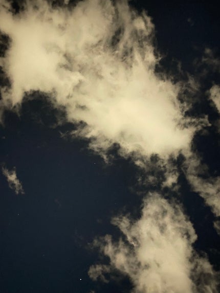 Dior ロージー グロウのクチコミ「画像気にしないでー..」(1枚目)