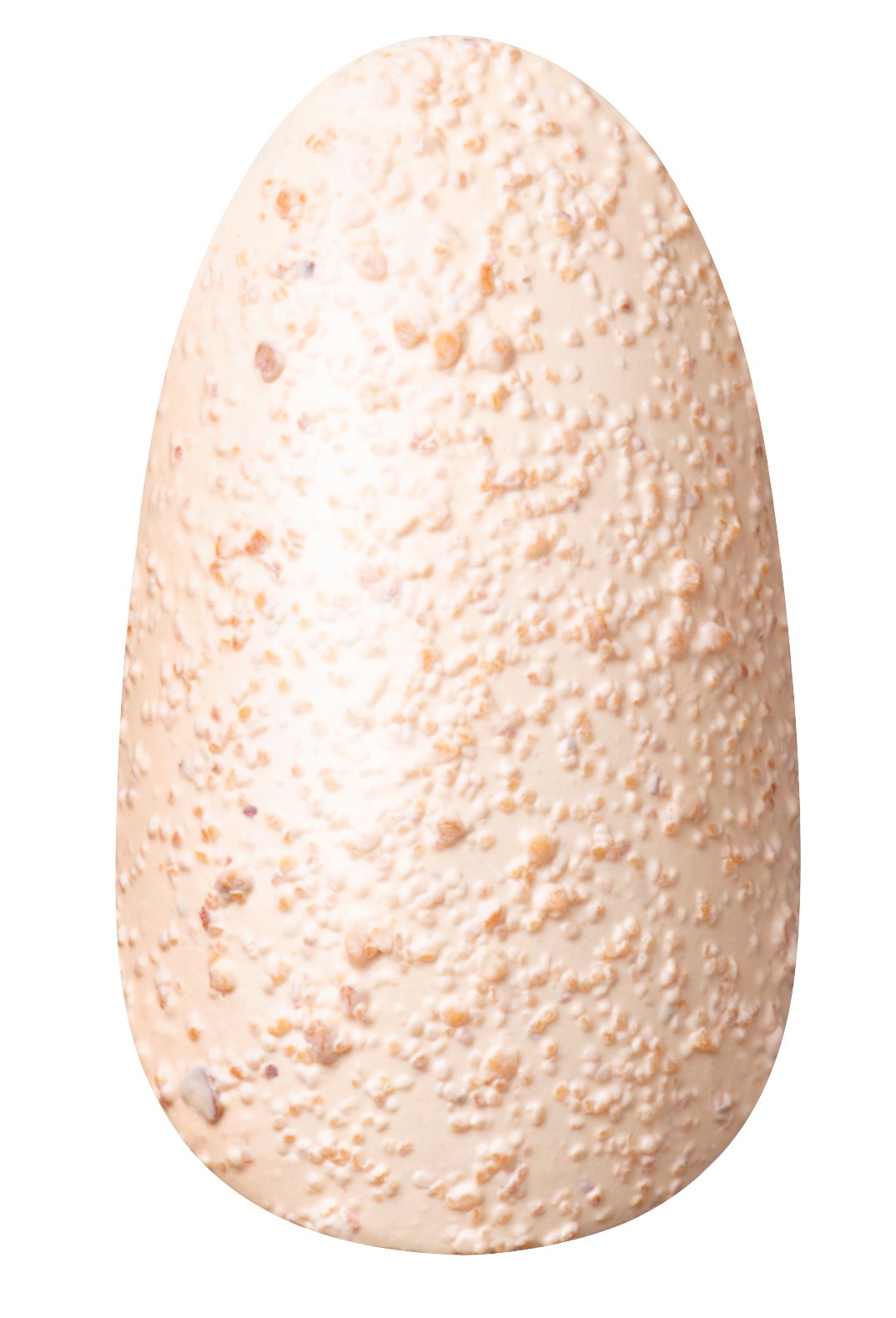 ネイルホリック リミテッドカラー Winter Sweet Biscuit WT089 ナッティバニラ