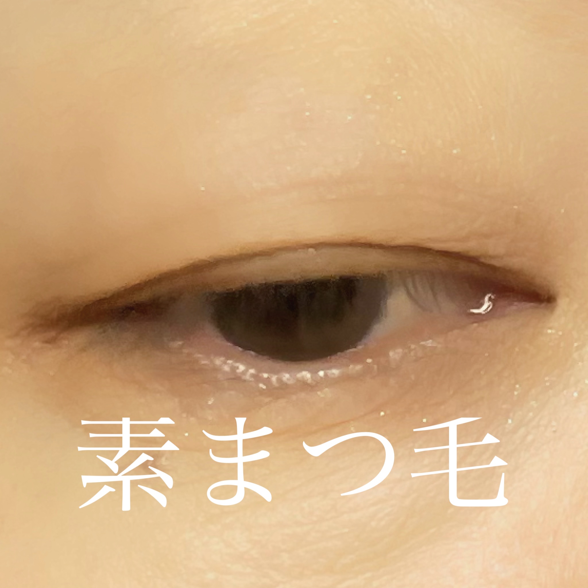 カールロックマスカラベース N/D-UP/マスカラ下地を使ったクチコミ（2枚目）