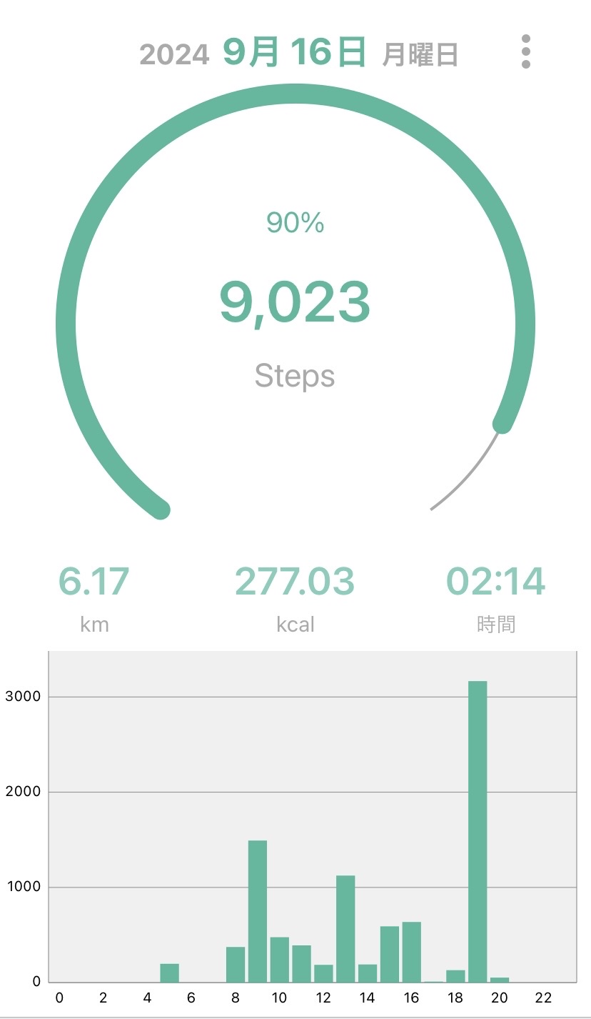 着圧スリムレギンス/SHAPEDAYS/着圧ソックス・レギンスを使ったクチコミ（2枚目）