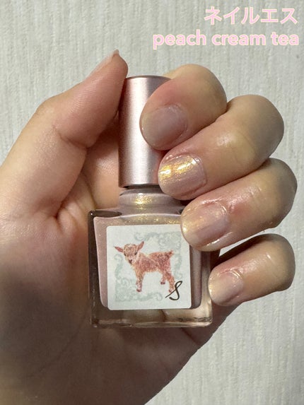 ネイルエス/ nail S(ネイルエス) /マニキュアを使ったクチコミ(1枚目)