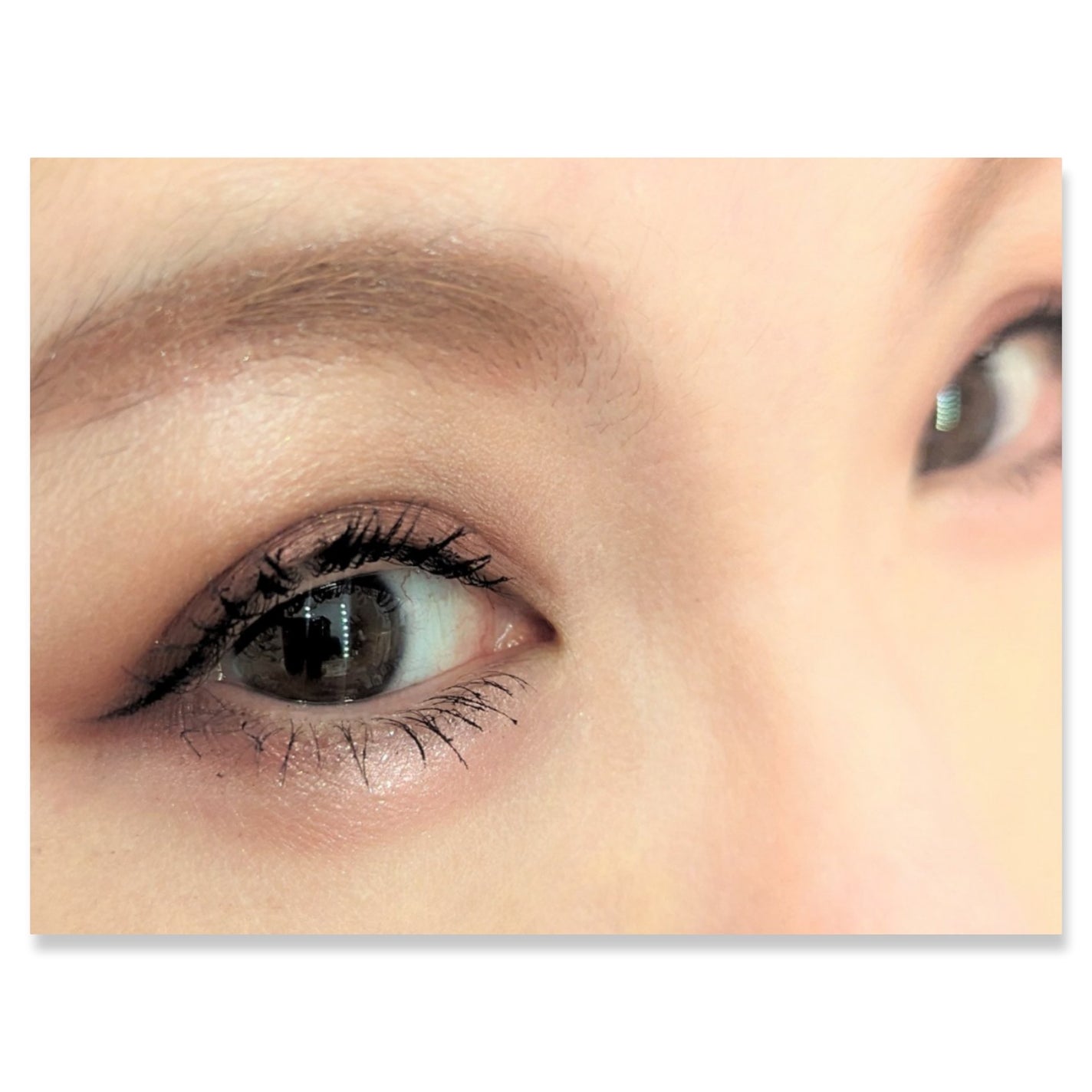 パノラマデザイン アイパレット/Visée/アイシャドウパレットを使ったクチコミ(2枚目)