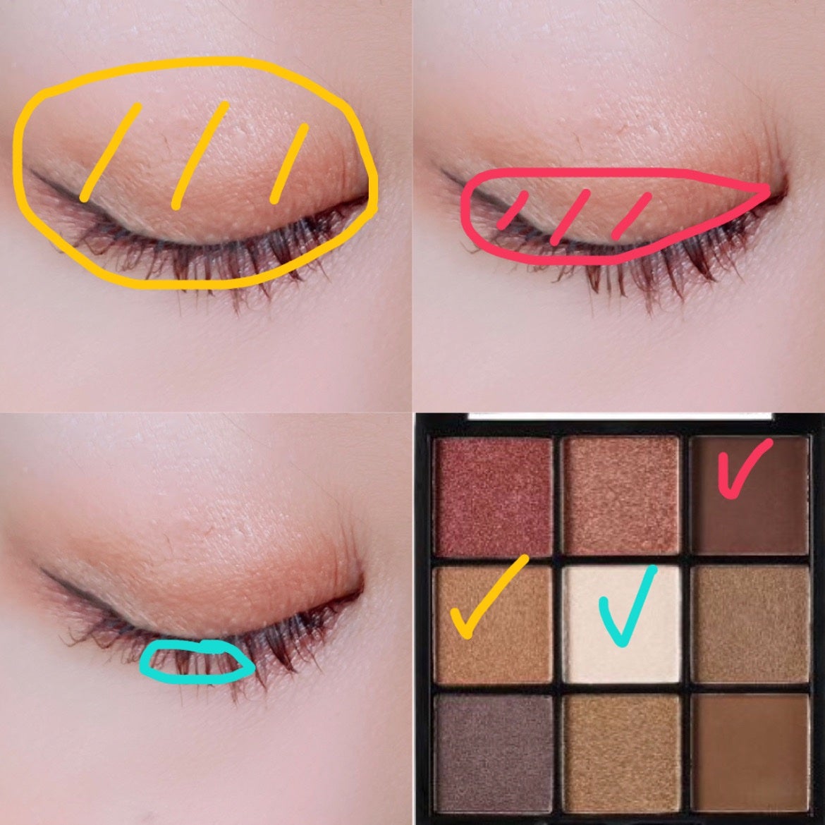 UR GLAM BLOOMING EYE COLOR PALETTE/U R GLAM/アイシャドウパレットを使ったクチコミ(2枚目)