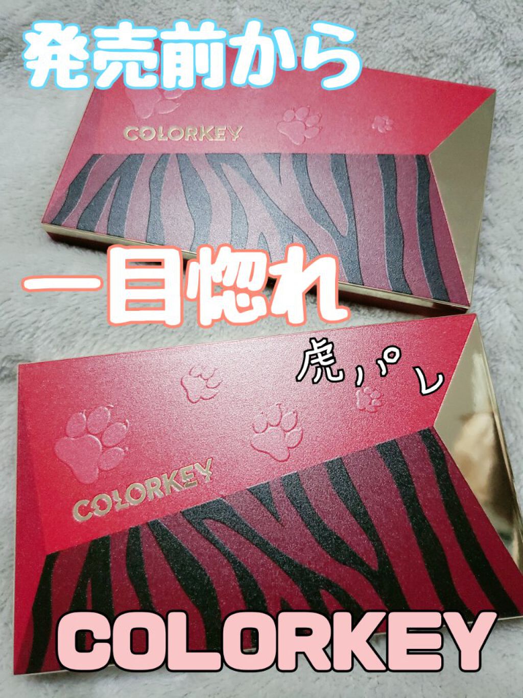 トラ十色アイシャドウパレット/COLORKEY/アイシャドウパレットを使ったクチコミ(1枚目)