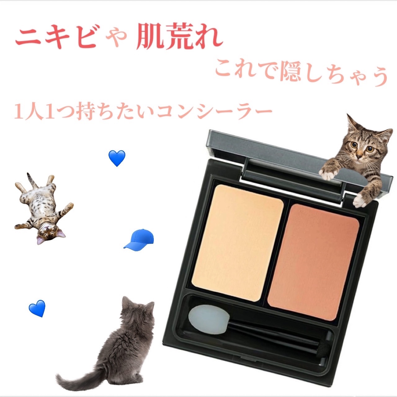 &be ファンシーラー/＆be/パレットコンシーラーを使ったクチコミ（1枚目）