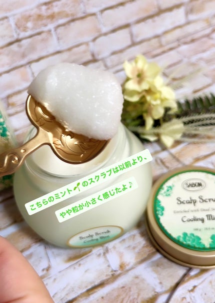 ヘッドスクラブ リフレッシング(ミント)/SABON/ヘッドスクラブを使ったクチコミ(2枚目)