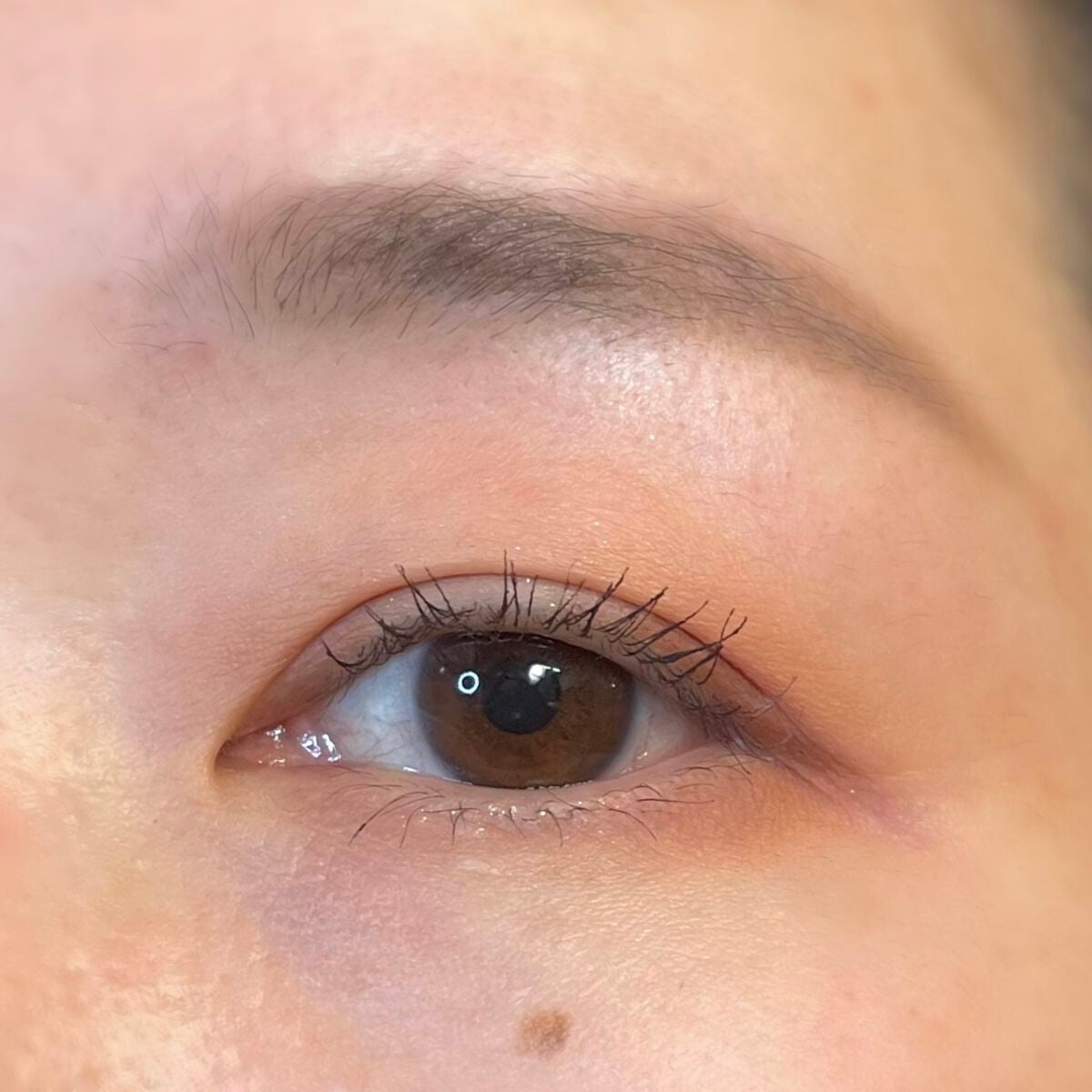 シャドウパレット/dasique/アイシャドウパレットを使ったクチコミ(8枚目)