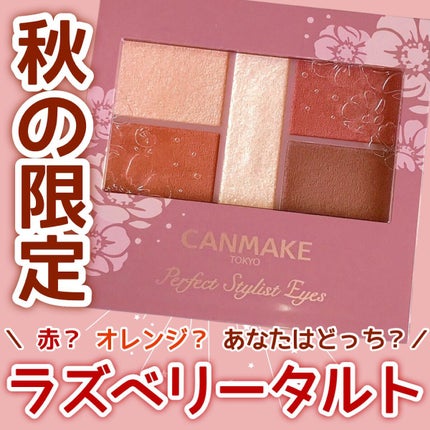 パーフェクトスタイリストアイズ/キャンメイク/アイシャドウパレットを使ったクチコミ(1枚目)