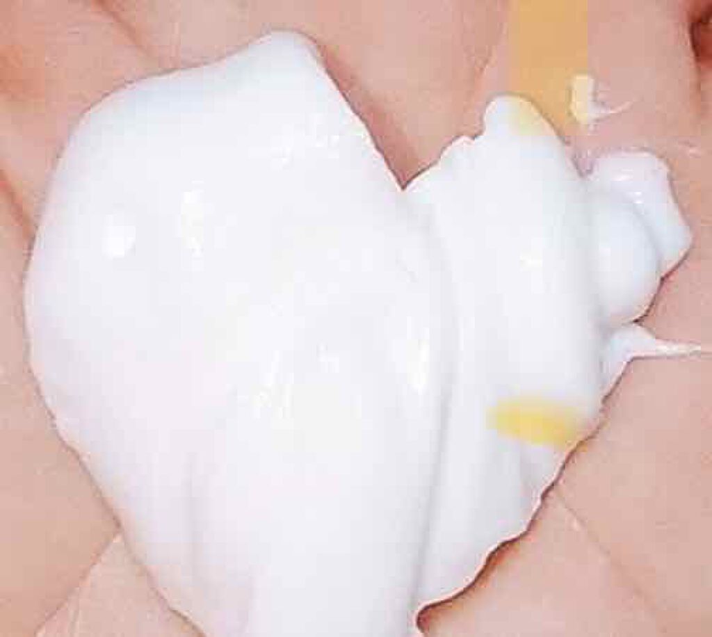 ヘアーマスク【トリートメント】/ellips/ヘアマスク・ヘアパックを使ったクチコミ（2枚目）