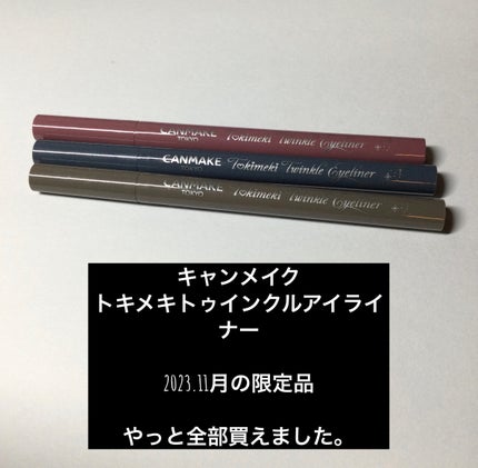 トキメキトゥインクルアイライナー/キャンメイク/リキッドアイライナーを使ったクチコミ(1枚目)