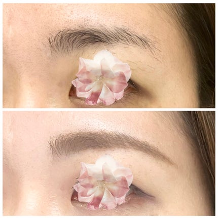 アイブロー ペンシル くり出し式/ちふれ/アイブロウペンシルを使ったクチコミ(5枚目)