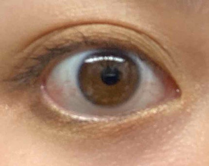 サンク クルール/Dior/アイシャドウパレットを使ったクチコミ(2枚目)