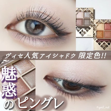 パノラマデザイン アイパレット/Visée/アイシャドウパレットを使ったクチコミ(1枚目)