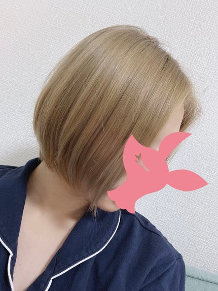 THE BEAUTY 髪のキメ美容シャンプー/コンディショナー<モイストリペア>	/エッセンシャル/市販シャンプーを使ったクチコミ(2枚目)